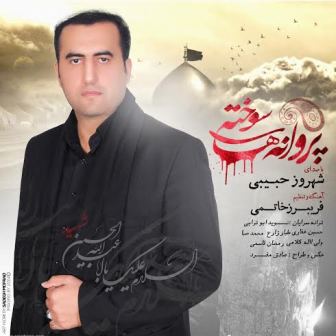 Shahrooz Habibi دانلود آلبوم جدید شهروز حبیبی به نام پروانه های سوخته