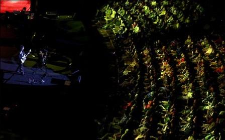 سنندج میزبان دو کنسرت در دی ماه