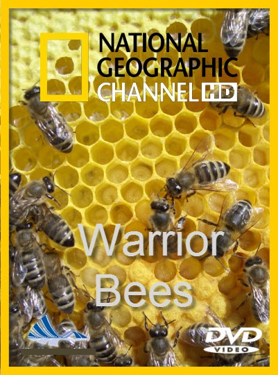 Warrior Bees دانلود مستند دوبله فارسی زنبورهای جنگجو Warrior Bees