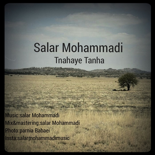 دانلود آهنگ جدید بی کلام سالار محمدی بنام تنهای تنها