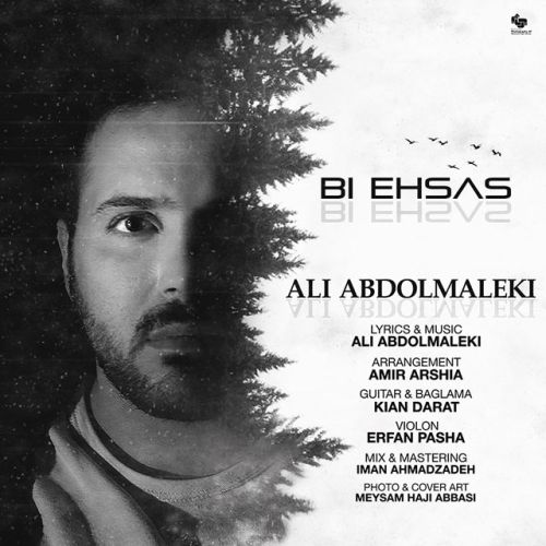 دانلود آهنگ جدید علی عبدالمالکی بنام بی احساس
