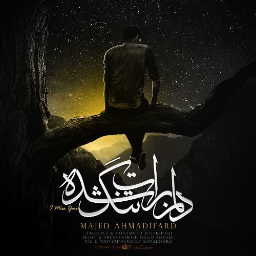 دانلود آهنگ جدید ماجد احمدی بنام دلم برات تنگ شده
