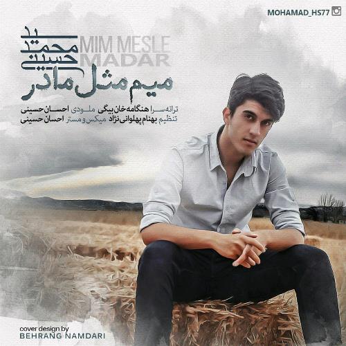 دانلود آهنگ جدید سید محمد حسینی بنام میم مثل مادر