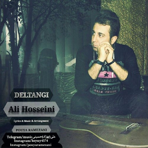 دانلود آهنگ جدید علی حسینی بنام دلتنگی