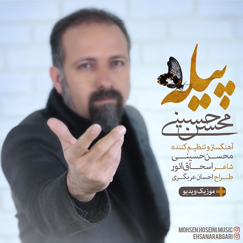 دانلود آهنگ جدید محسن حسینی بنام پیله