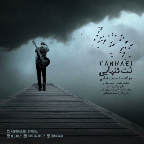 دانلود آهنگ جدید حبیب فدایی بنام نت تنهایی