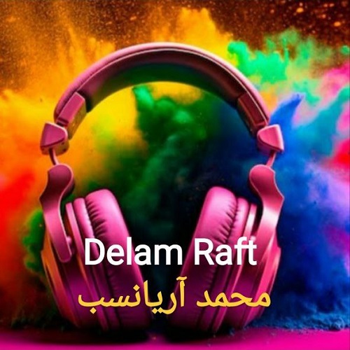 دانلود آهنگ محمد آریانسب بنام دلم رفت
