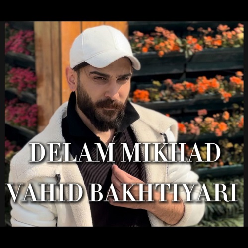 دانلود آهنگ وحید بختیاری بنام دلم میخواد